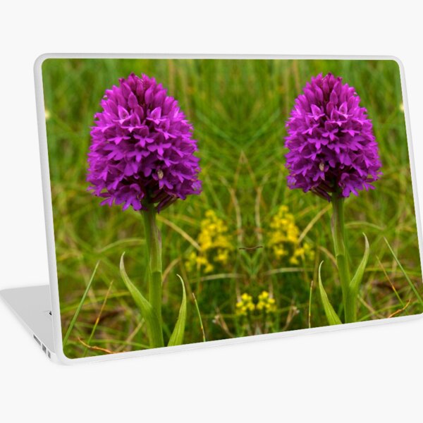 Pyramidal Orchid, Inishmore Laptop Skin