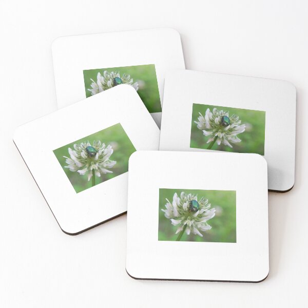Item preview, Beetle on flower designed and sold by Stellabipolare.