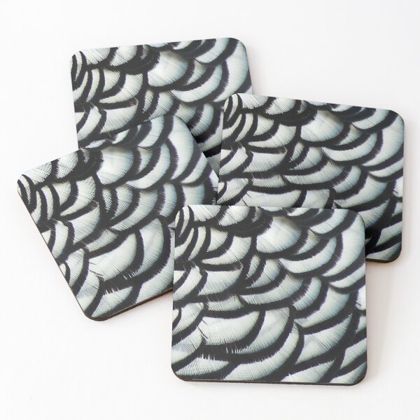Item preview, Lady Amherst Pheasant 1. Close up - feathers, plumage. Black and white scalloped layers.  designed and sold by JellyBeenzz.