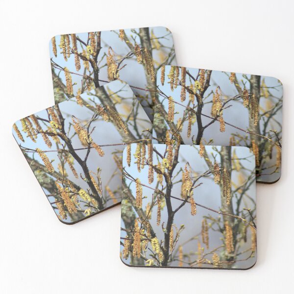 Item preview, catkins in spring designed and sold by tigerr.