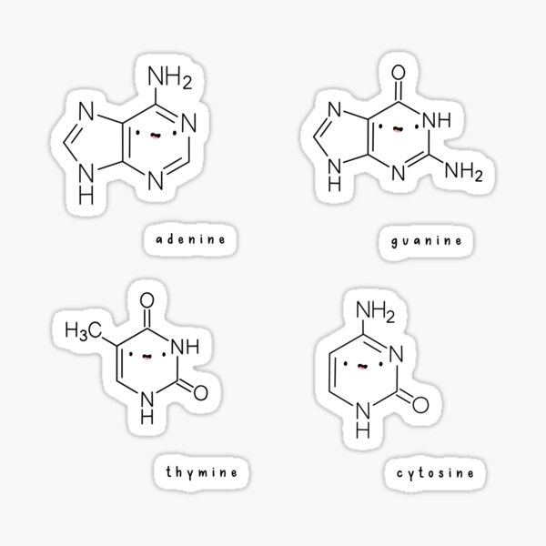 Item preview, Hand Drawn Kawaii DNA Nucleobases ACTG Pack  designed and sold by SofiaSava01.