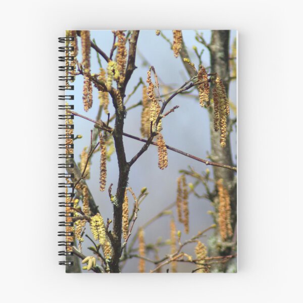 Item preview, catkins in spring designed and sold by tigerr.