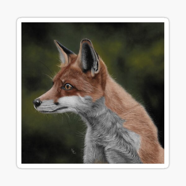 Red Fox Sticker
