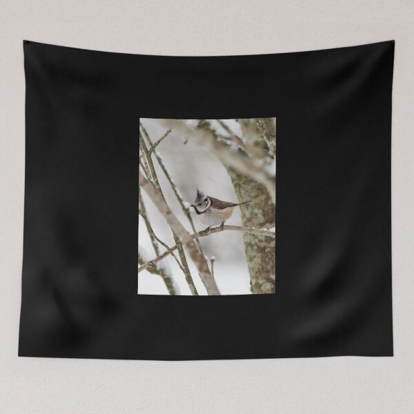 Item preview, Heads up! European crested tit designed and sold by Jouko Lehto Photography.