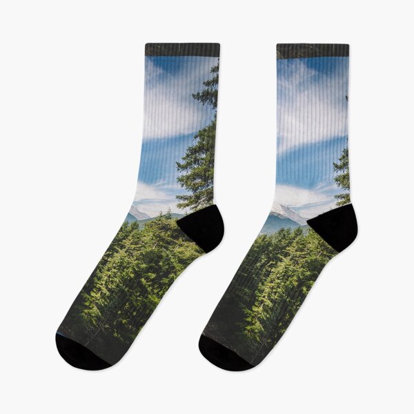 Artikelvorschau, Der mächtige Mount Rainer im Wald entworfen und verkauft von mattgeophoto.