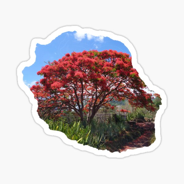 Reunion Island 974 Reunion Island Flag Maveli Plaque, Zazzle