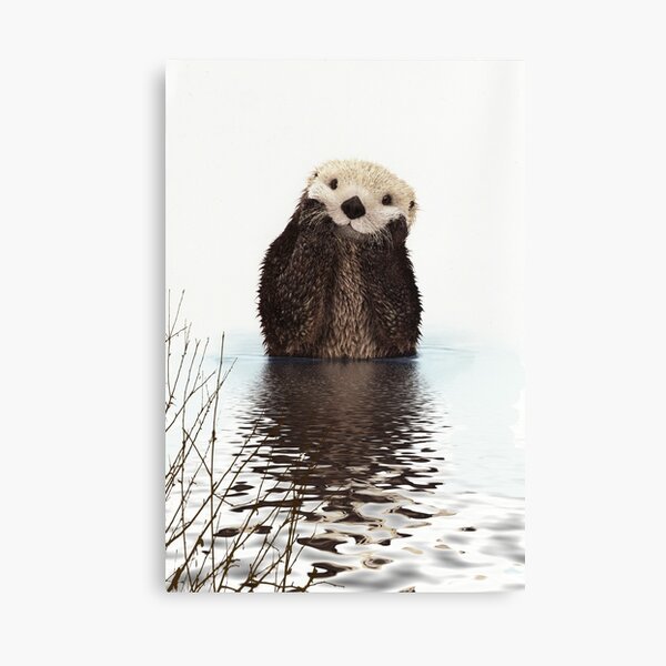 Adorable loutre souriante dans le lac Impression sur toile