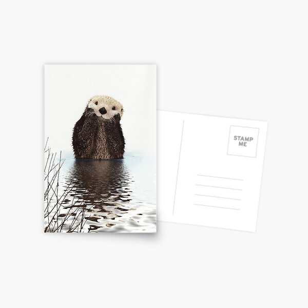 Adorable Smiling Otter in Lake Postcard