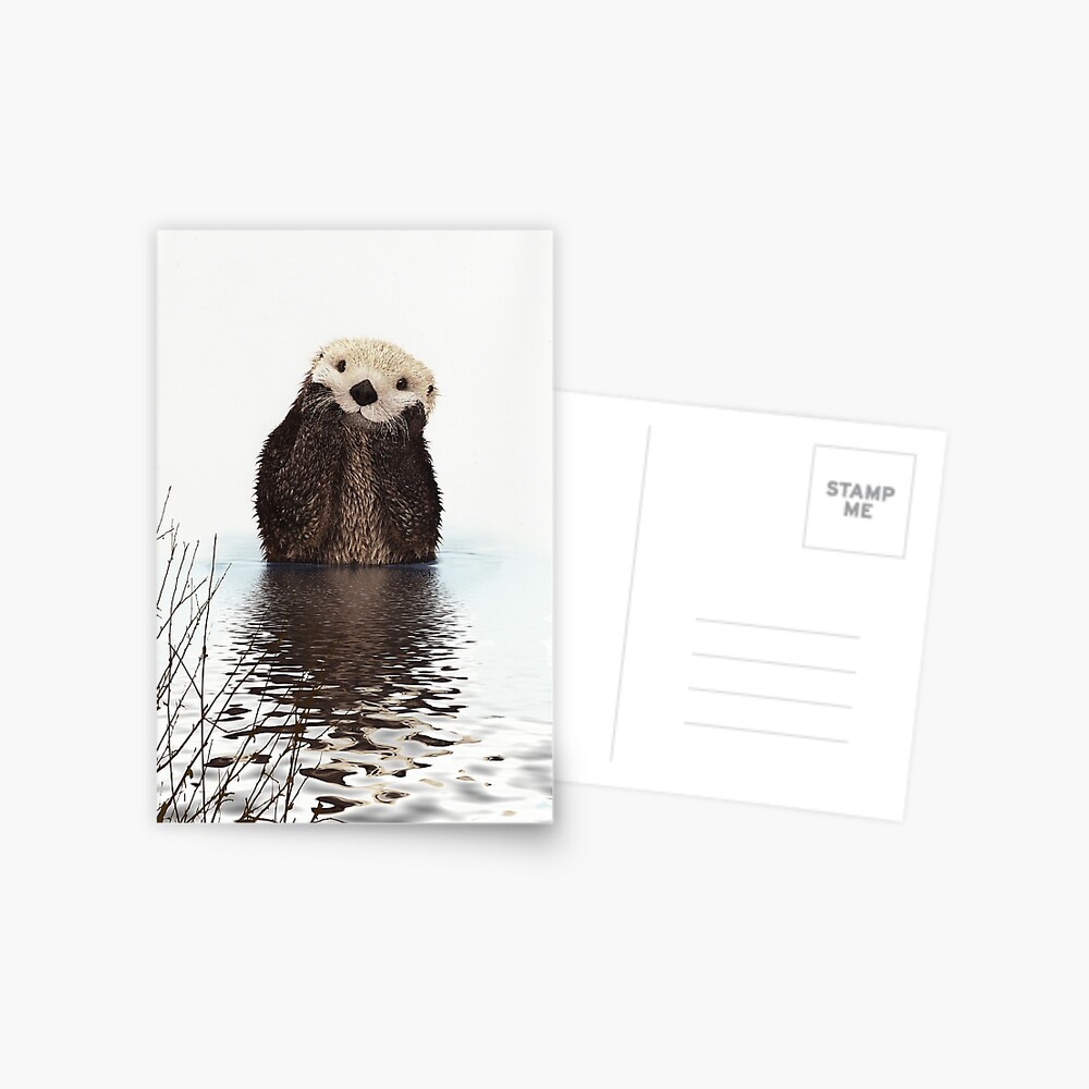 Adorable Smiling Otter in Lake Postcard