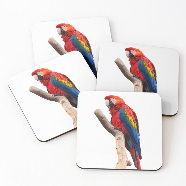 Item preview, Scarlet macaw on a branch designed and sold by PET-SHIRTS.