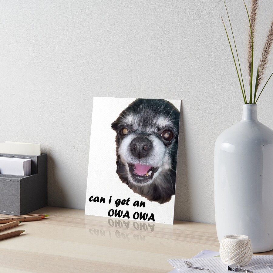 "Owa Owa Tshirt Can i get an Owa Owa Tiktok meme Dog StreetWear" Art