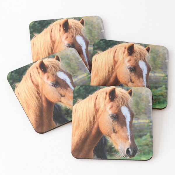 Item preview, Jasper the Welsh Pony by Carolanne Kennedy designed and sold by Carolanne Kennedy.