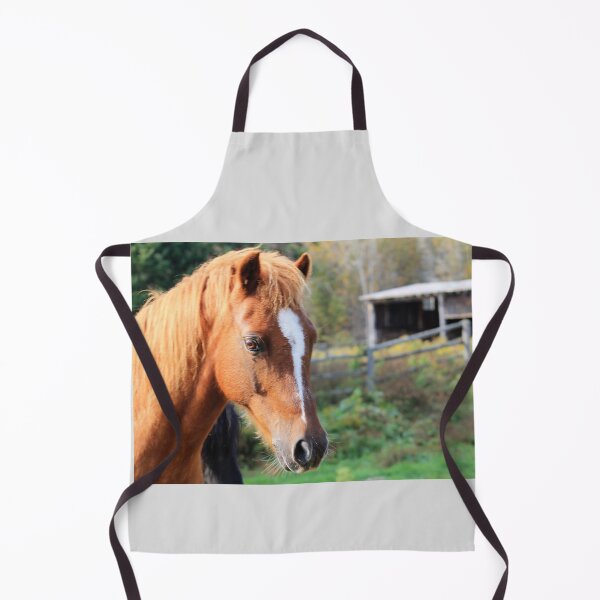 Item preview, Jasper the Welsh Pony by Carolanne Kennedy designed and sold by Carolanne Kennedy.