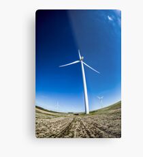 SL-WEEK 13: Ecology Metal Print