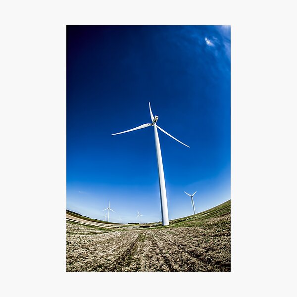 Photographic Print