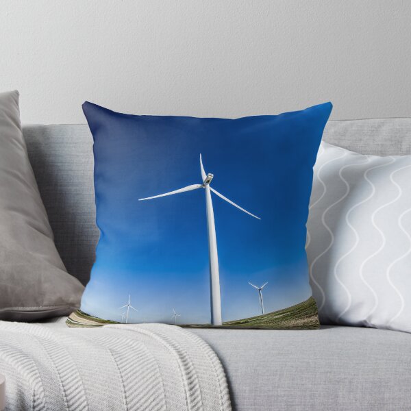 Throw Pillow