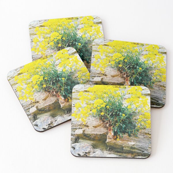 Item preview, A bush with small yellow flowers growing on an ancient wall of the Old Fortress designed and sold by helenkaiy.