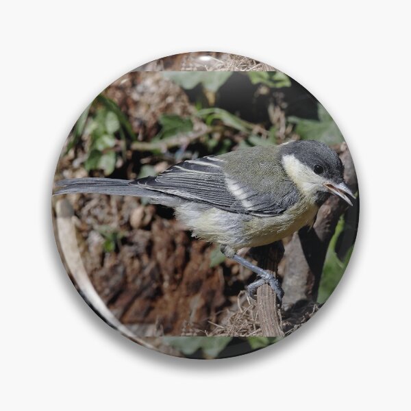 Item preview, r1360/  new finition 2021  Birds  05 b (c)(t) by Olao-Olavia / Okaio Créations  designed and sold by o.okaïo.