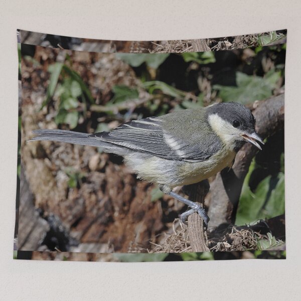 Item preview, r1360/  new finition 2021  Birds  05 b (c)(t) by Olao-Olavia / Okaio Créations  designed and sold by o.okaïo.