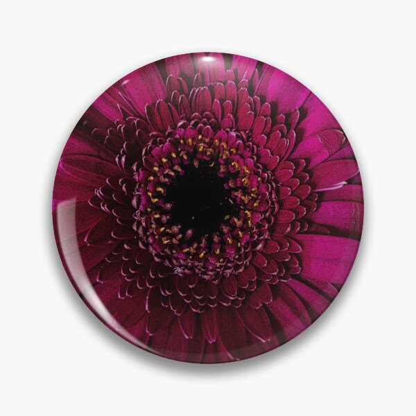 Item preview, Gazania Flower designed and sold by GingerMan2550.