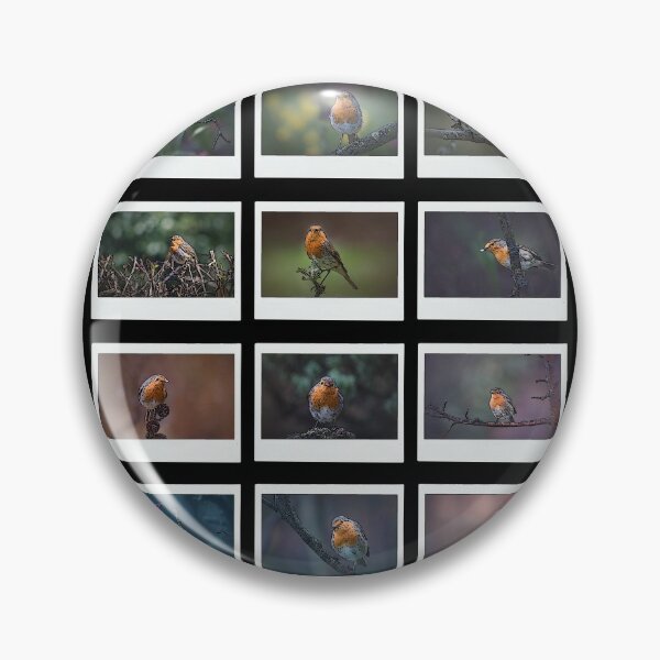 Item preview, Robin bird collage. Great gift for Robin bird lover. designed and sold by Kipcio.