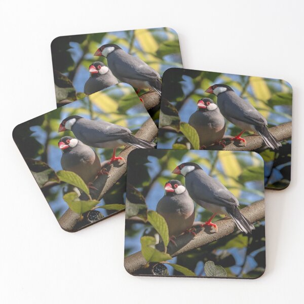 Item preview, Jave Sparraws in shrub designed and sold by melaniesharp.