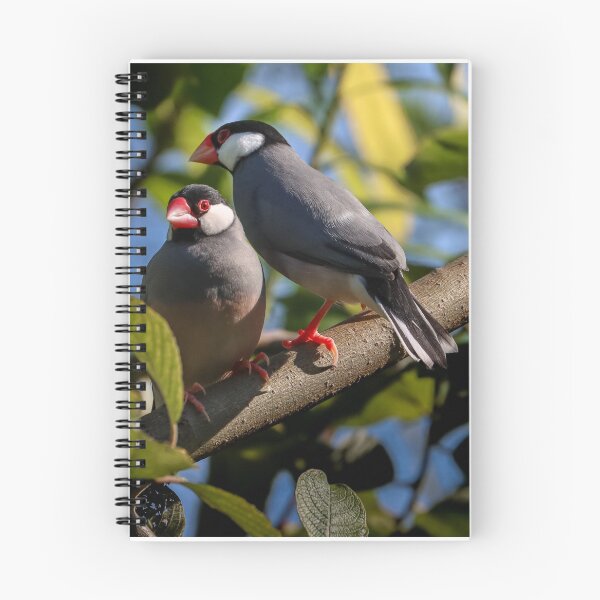 Item preview, Jave Sparraws in shrub designed and sold by melaniesharp.