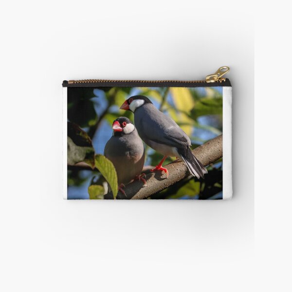 Item preview, Jave Sparraws in shrub designed and sold by melaniesharp.