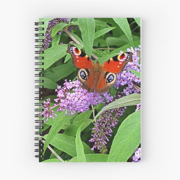 Item preview, Aglais io designed and sold by Kat Simmons.