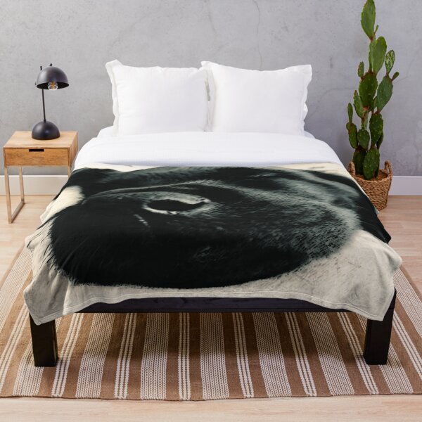 Item preview, Sleeping Black Lab Art Print designed and sold by seabiscuit28.