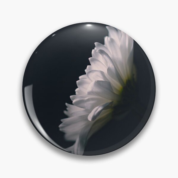 Item preview, White Gerbera or Large Daisy in Light Painting Stilllife designed and sold by melaniesharp.