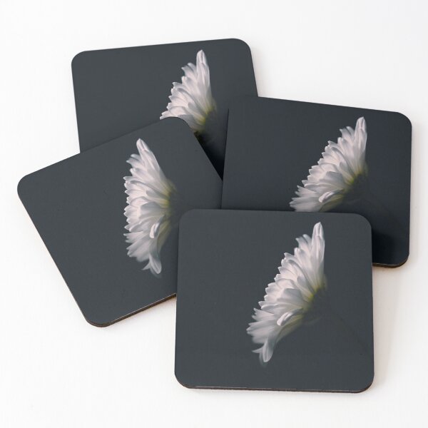 Item preview, White Gerbera or Large Daisy in Light Painting Stilllife designed and sold by melaniesharp.