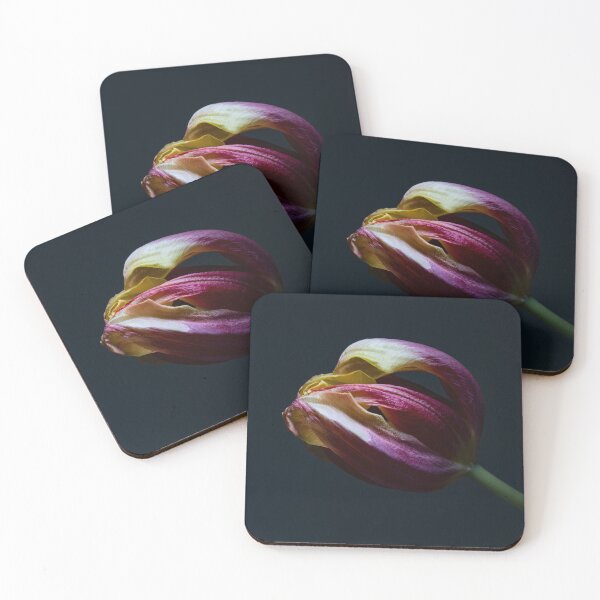 Item preview, Purple Tulip Wilted, Light Painted Stilllife designed and sold by melaniesharp.