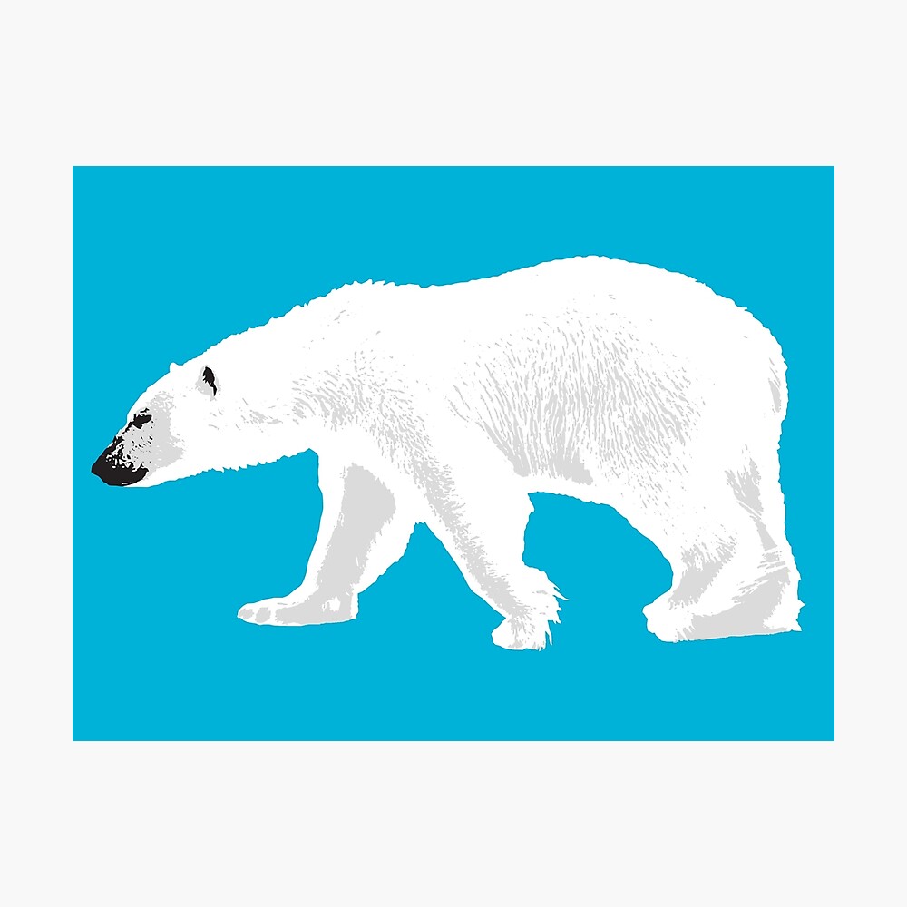 Polar Bear Zipper Pouch for Sale by mmahoney20