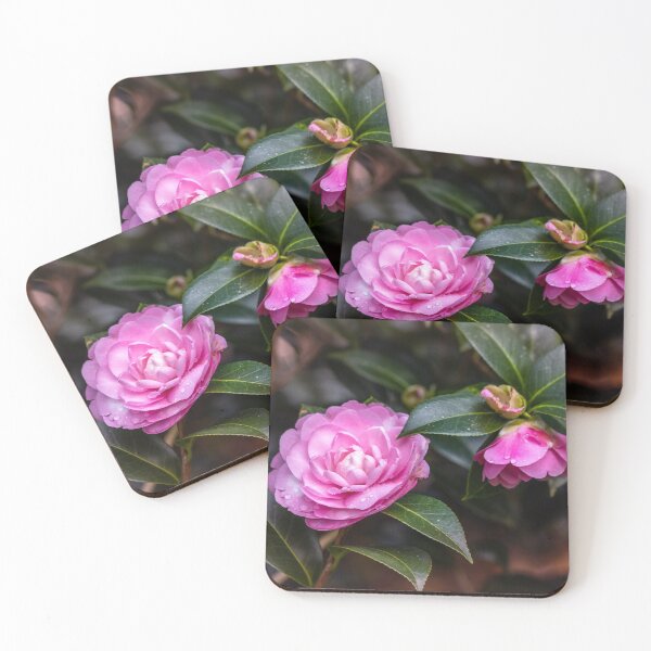 Item preview, Pink camellia flower, with branches and leaves in the background. designed and sold by AylaHarbich.