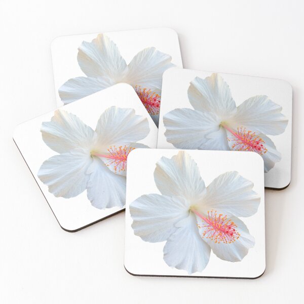 Item preview, Fotografía floral de naturaleza muerta de hibisco de flor blanca designed and sold by CottoVerdi.