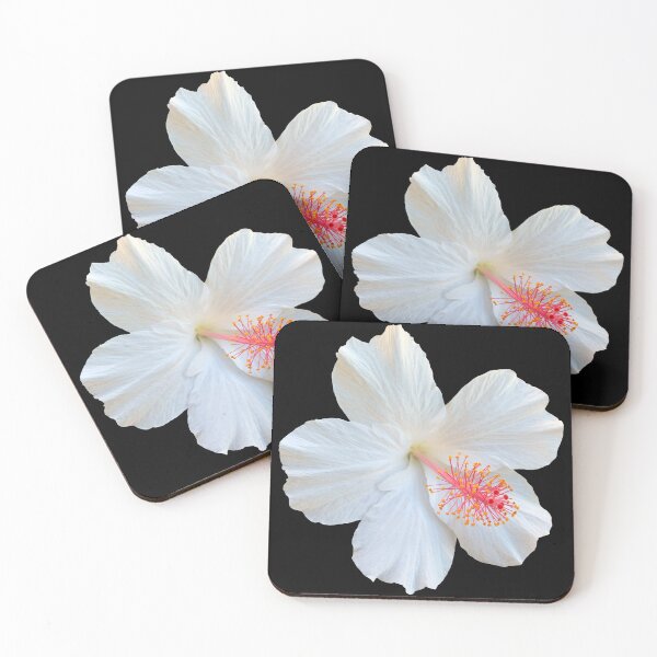 Item preview, Fotografía floral de naturaleza muerta de hibisco de flor blanca designed and sold by CottoVerdi.
