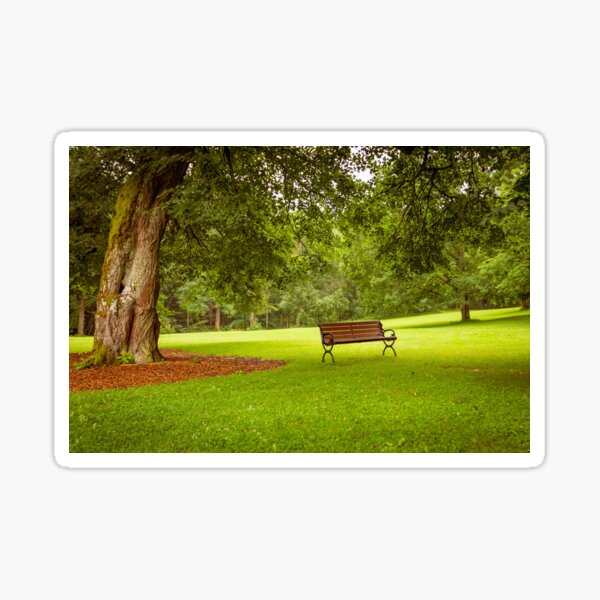 Empty bench at the park Sticker