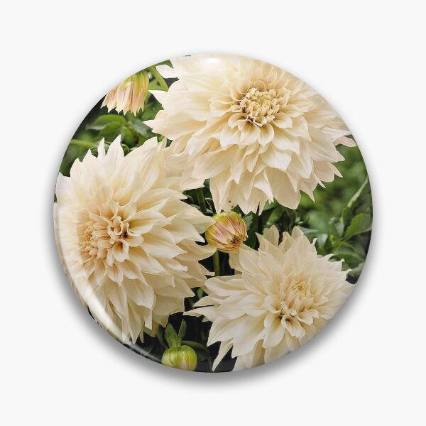 Item preview, Cream Colored Dahlias designed and sold by Shelley Loewnau-Jones Studio.