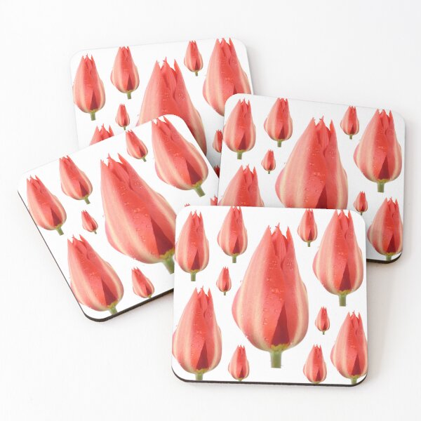 Aperçu de l'œuvre Tulipa & quot; Madame Lefeber & quot; Tulip Syn. Tulipa Fosteriana & # 39; Empereur Rouge & # 39; Groupe Fosteriana créée et vendue par Chris Burrows.