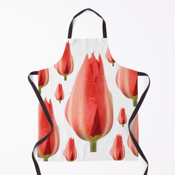 Aperçu de l'œuvre Tulipa & quot; Madame Lefeber & quot; Tulip Syn. Tulipa Fosteriana & # 39; Empereur Rouge & # 39; Groupe Fosteriana créée et vendue par Chris Burrows.