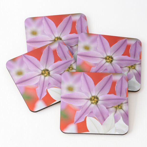 Item preview, Ipheion  Two colours  Spring starflower  designed and sold by Chris Burrows.