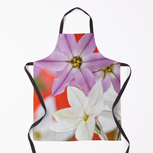 Item preview, Ipheion Two colours Spring starflower designed and sold by Chris Burrows.