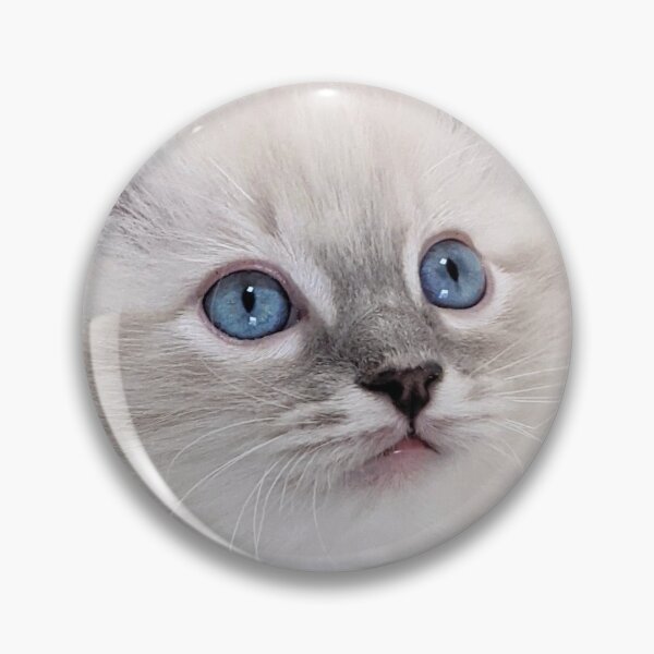 Item preview, Lynx ragdoll kitten designed and sold by Fluffycat2020.