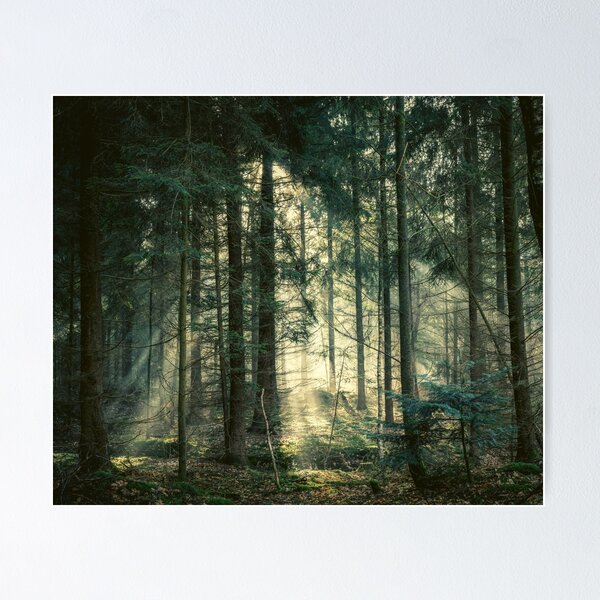 Item preview, The break of day in the forest designed and sold by Feanen.