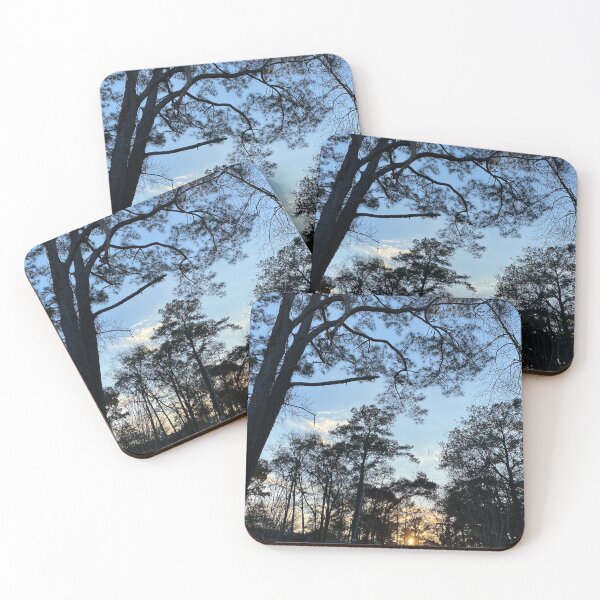 Item preview, Florida Sky designed and sold by SaraBearsArt.