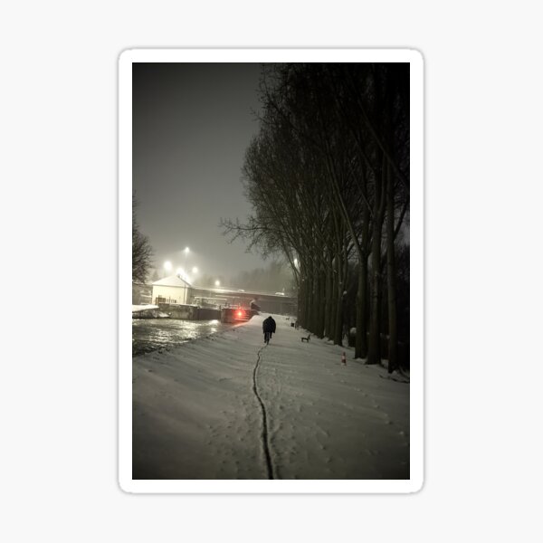 SL-WEEK 29 / Snow Sticker