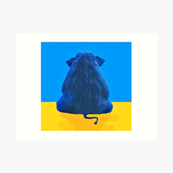 Ncis Elephant In The Room Art Prints Redbubble