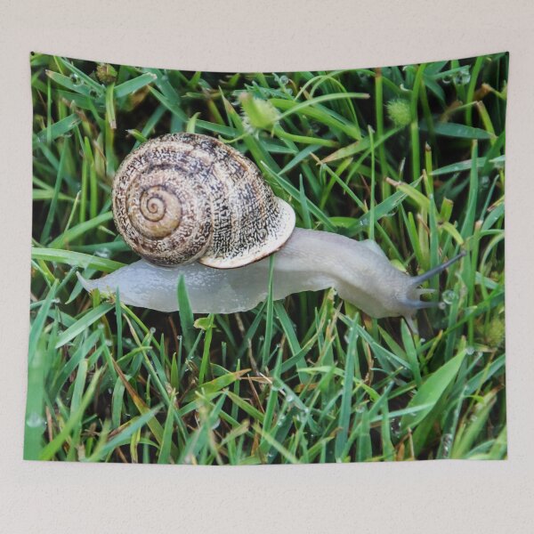 Item preview, Looking For Lunch designed and sold by heatherfriedman.