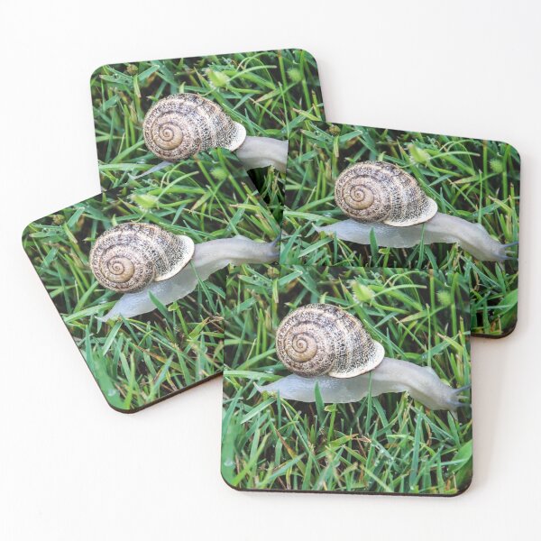Item preview, Looking For Lunch designed and sold by heatherfriedman.